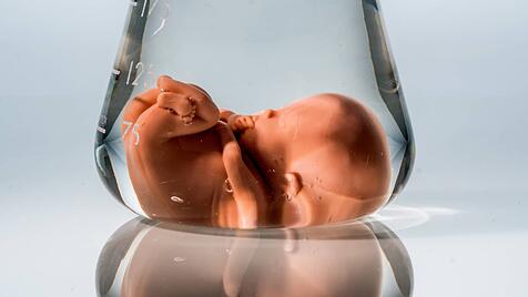 Modell eines Embryos in einem Laborglas