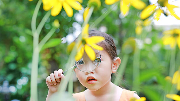Staunen schützt vor Hybris: Es macht spürbar, dass uns manche Dinge unverfügbar sind.
