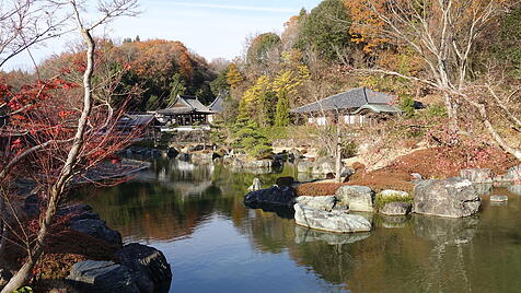 Garten Japan