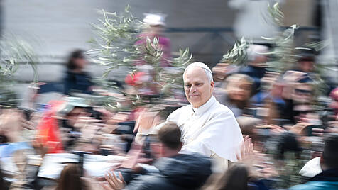 Papst Leo XIV. am Palmsonntag