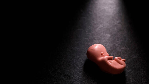 Abtreibungsstatistik für 2025