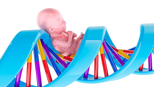 Symbolbild Embryo auf DNA-Doppelhelix